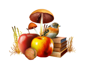 őszi állatok_155.png